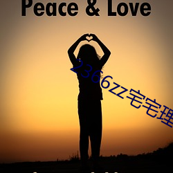 2366zz宅(宅)宅理论(論)