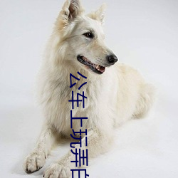 公车上玩弄白嫩少妇