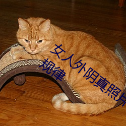 女人外阴真照片与7大形状:外阴颜色变化规律 （千岁鹤归）