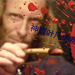 神婿葉凡免費全文閱讀