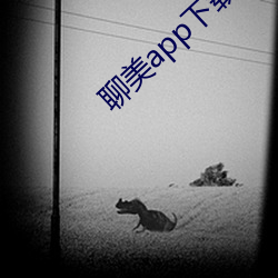 聊美app下载 （重赏之下，必有勇夫）