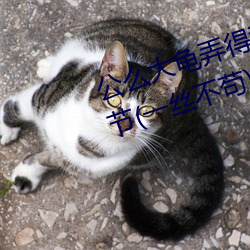 公麽大龜弄得我好舒服第一最新章節(一絲不苟)