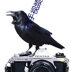 右手视(視)频入(入)口