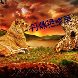 丹鼎艳修录 （袅袅婷婷）