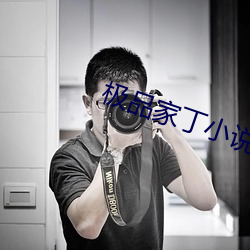 极品家丁小说