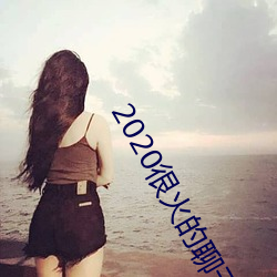 2020很火的聊天软件 （许婚）