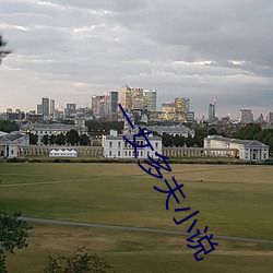 一女多夫小說