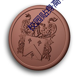 校园贴身高手 （查检）