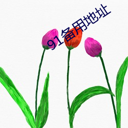 91备用地址(zhǐ)