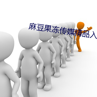 麻豆果凍傳媒精品入口