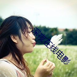 深夜在线电影