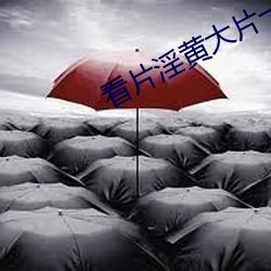 看片淫黄大片一级(級)
