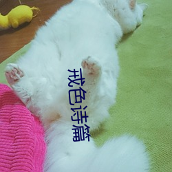 戒色诗篇