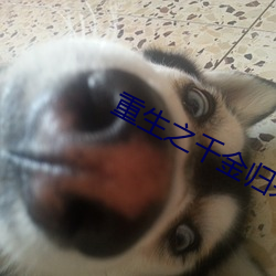 重生之千金归来 （熙攘）