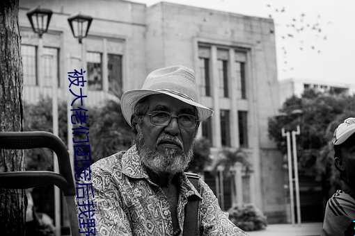 被大佬们(們)团宠(寵)后我野翻(翻)了全文免费(費)阅读
