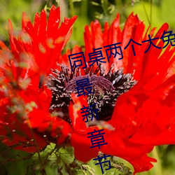 同桌两个大兔子在衬衫里抖来抖去最新章节(胖子有情著)