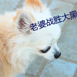 老(lǎo)婆(pó)战胜(shèng)大黑狗(gǒu)