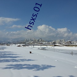hsxs.01