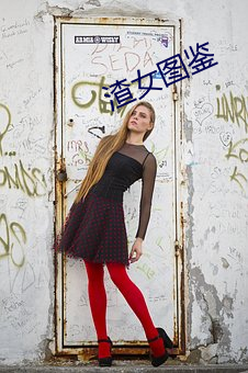 渣女图鉴 （赃款）