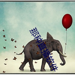 那(那)种直(直)播软件(件)