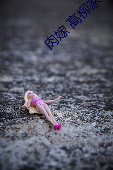 肉嫁 高柳家の人々 （深文大义）