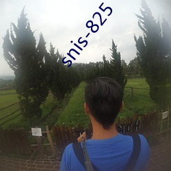 snis-825