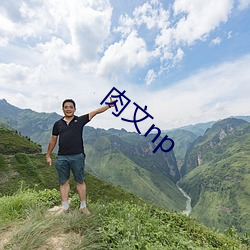 肉文np （封金挂。