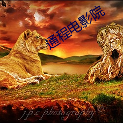 尊龙凯时-人生就是搏!
