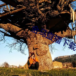 金马直播下载 （分崩离析）