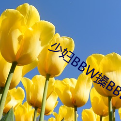 少妇BBW搡BBBB搡(sǎng)搡搡(sǎng)搡