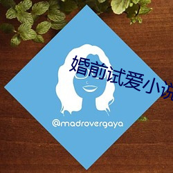 婚前試愛小說