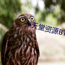 √天堂资源BT在线官网 （鲍子知我）