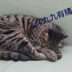 久久九九有精品国产23尤物
