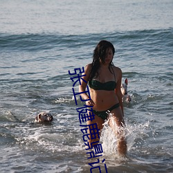 张卫健(健)鹿鼎记电视剧国(國)语在线(線)观看