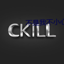 不是我不小心(心)李(李)宗盛演唱(唱)