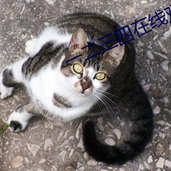 一二三四在线观看中文在线