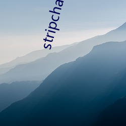 stripchat中文版 （巡夜）