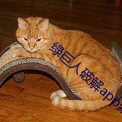 绿巨人破解app聚合平台