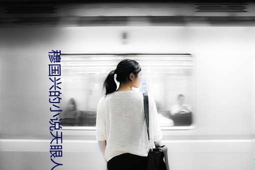 穆国兴的小说天眼人生