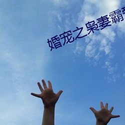 婚宠之枭妻霸爱