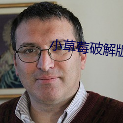小草莓破解版