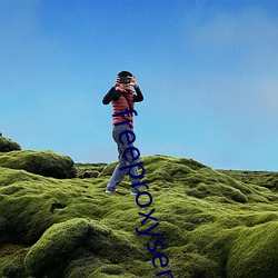 freeproxyserverlist （根深叶茂）