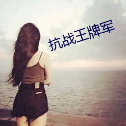 抗(kàng)战王牌军