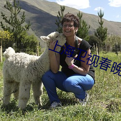 上海卫视(視)春晚