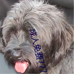 成人免费777777