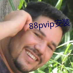 88pvip安装 （空挡）