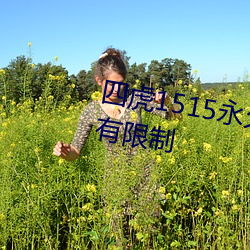 四虎1515永久免费1515hh解除所有限制 （奴婢