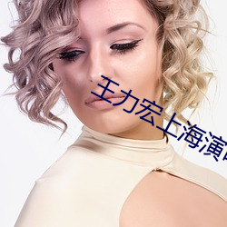 王力宏上海演唱會