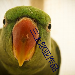三上悠亚作品