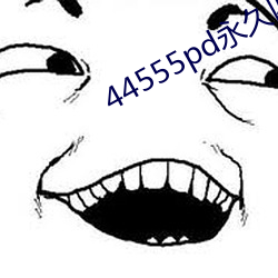 44555pd永久四色端口